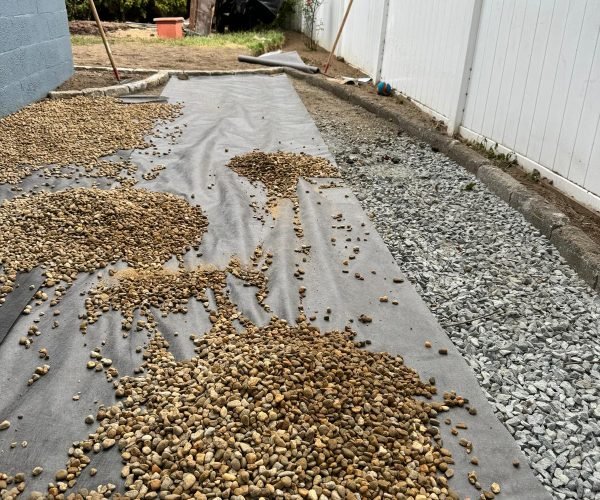 Imagen de WhatsApp 2025-04-01 a las 20.28.33_db0b28fe Imagen de WhatsApp 2025-04-01 a las 20.28.33_db0b28fe